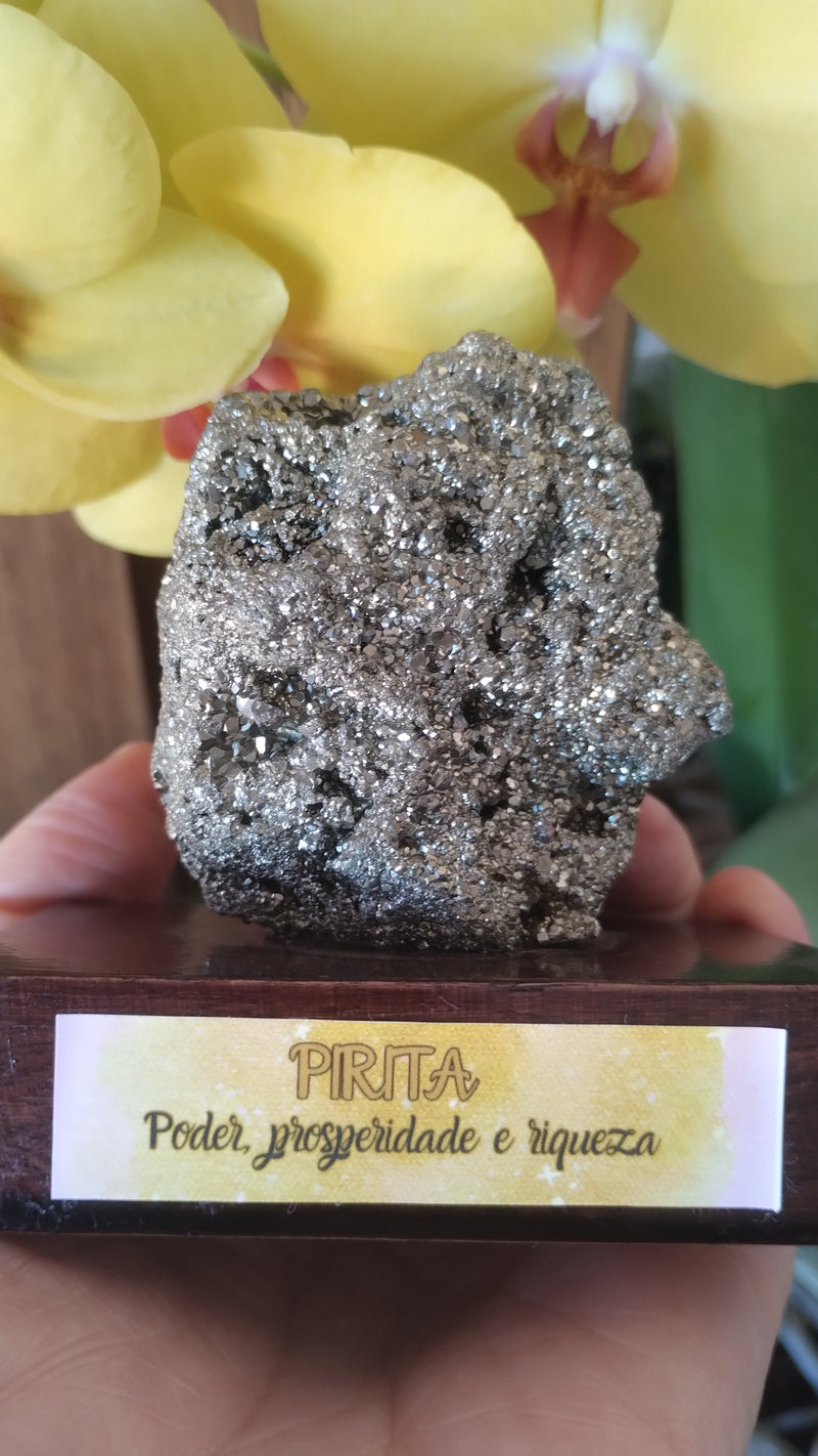 Pirita - Base de Madeira