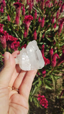 Cristal - Aglomerado