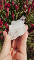 Cristal - Aglomerado