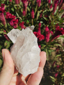 Cristal - Aglomerado