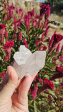 Cristal - Aglomerado