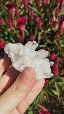 Cristal - Aglomerado