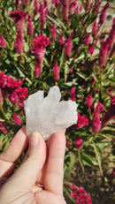 Cristal - Aglomerado