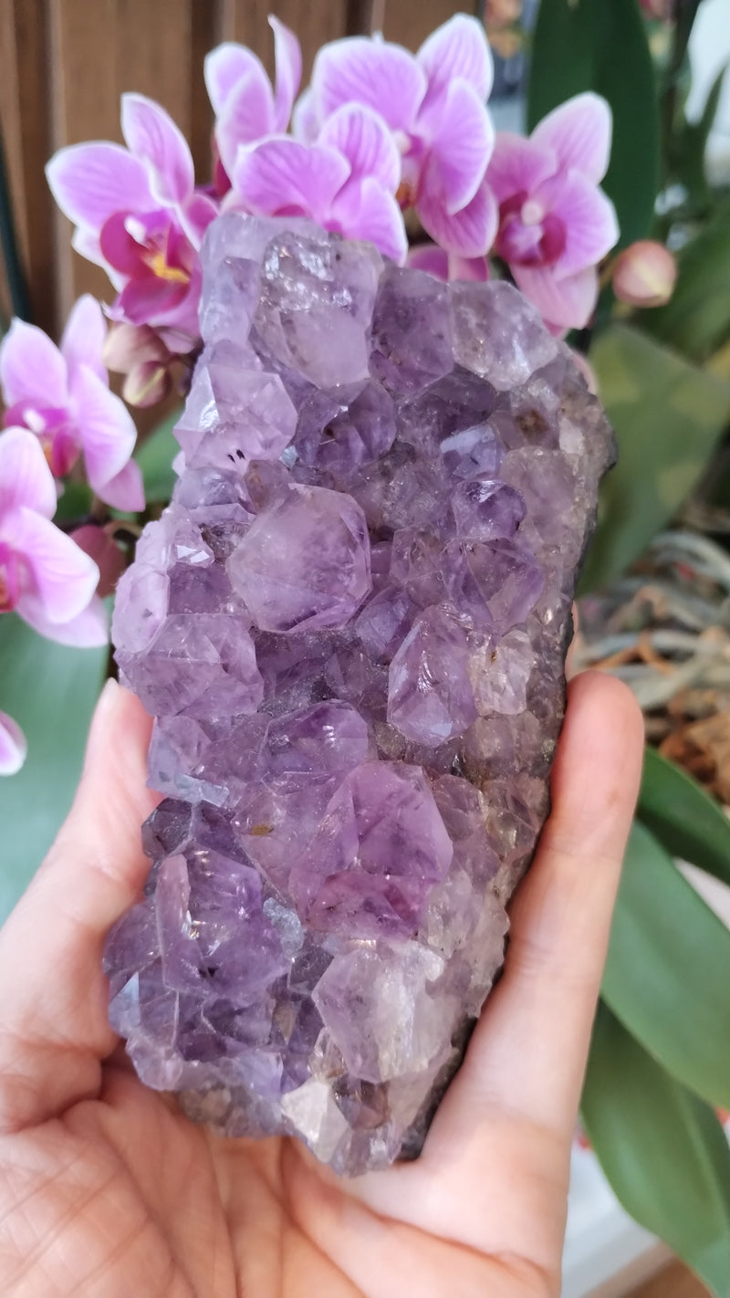 Ametista - Drusas Médias