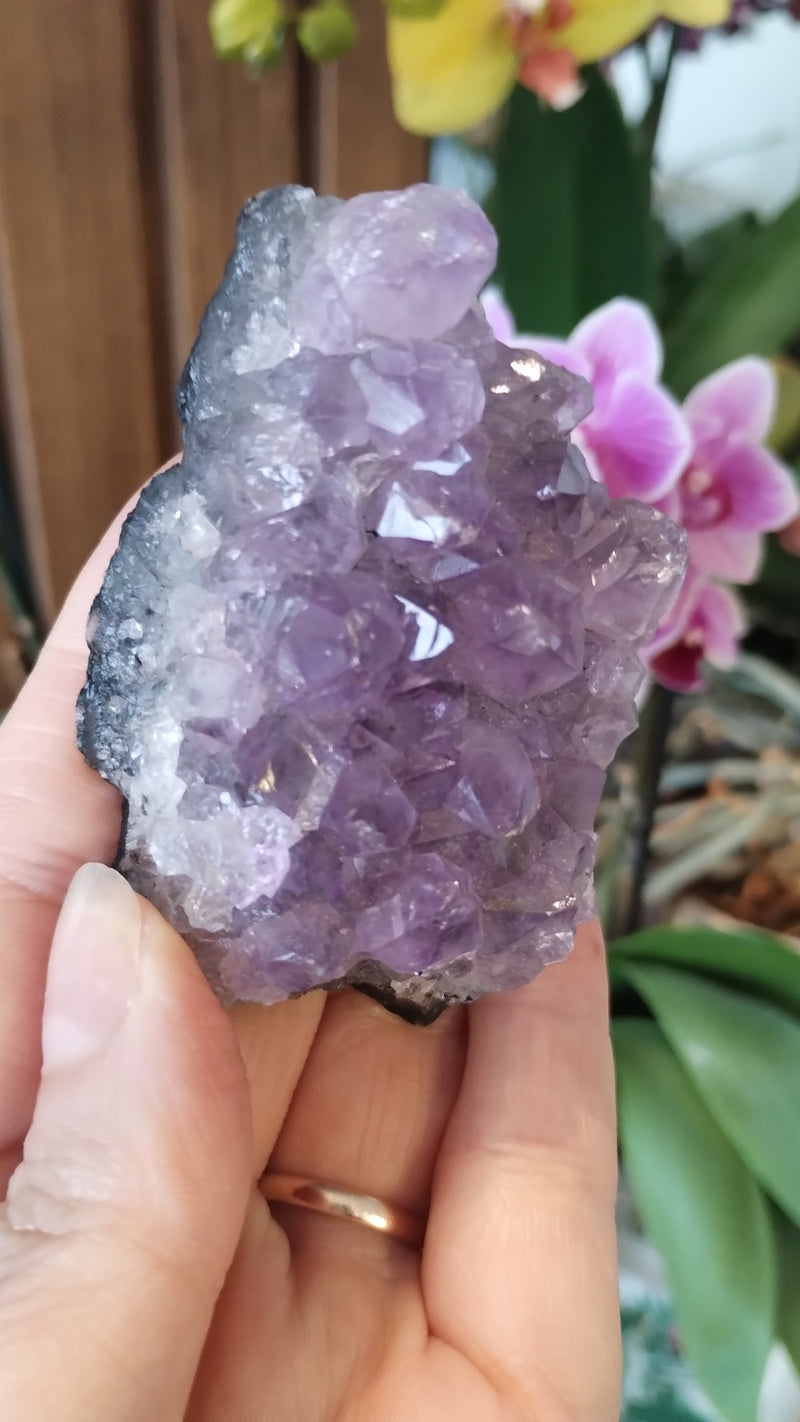 Ametista - Drusas Pequenas