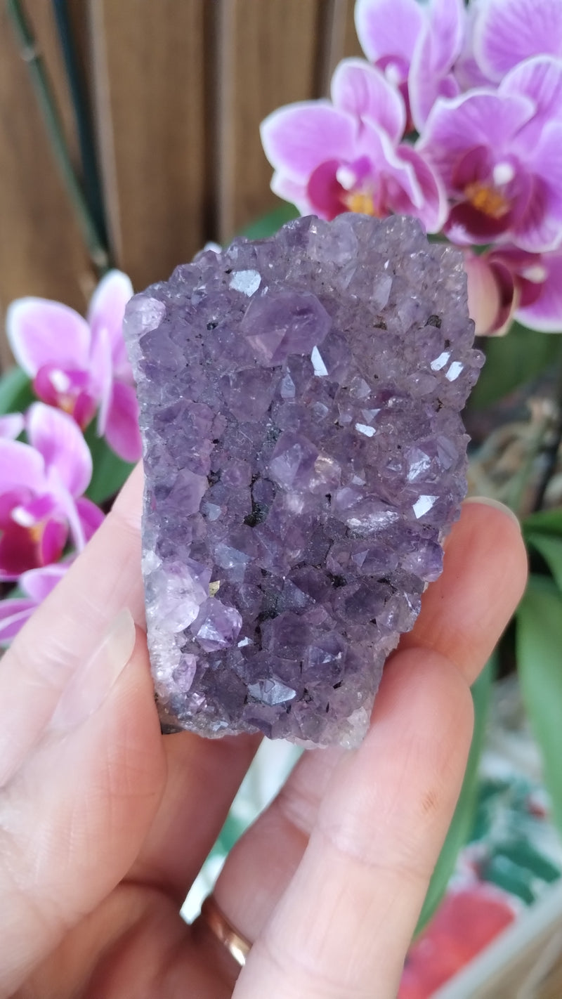 Ametista - Drusas Pequenas