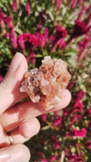 Aragonita Sputinik - Marrocos