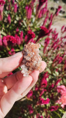 Aragonita Sputinik - Marrocos