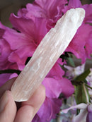 Selenita Rosa - Bruta