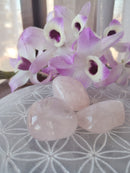 Quartzo Rosa - Rolado