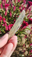 Cianita Verde - Bruta