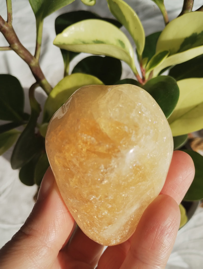 Citrino - Massageador