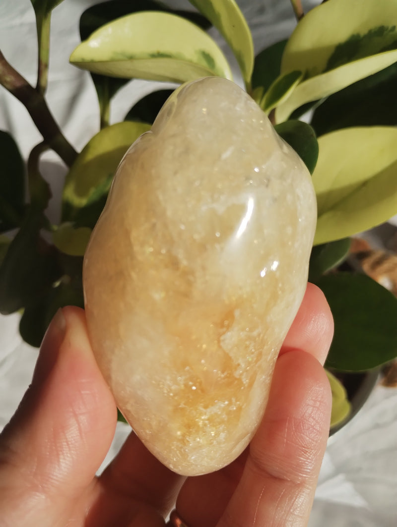 Citrino - Massageador