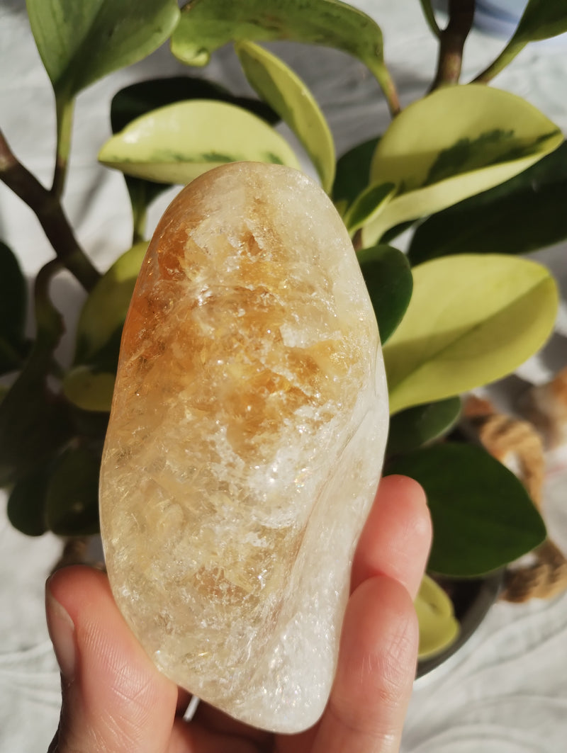 Citrino - Massageador