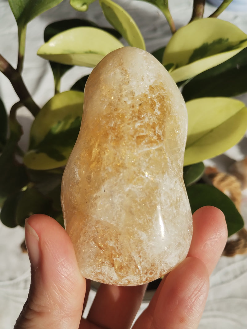 Citrino - Massageador