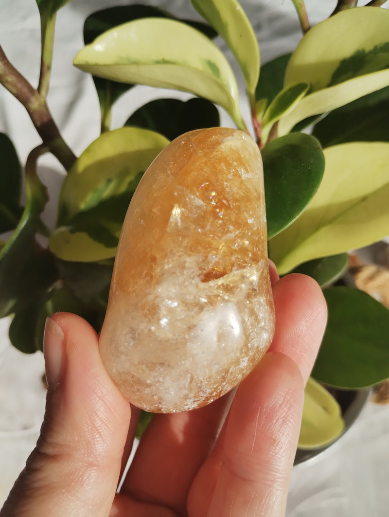 Citrino - Massageador