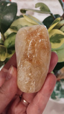 Citrino - Massageador