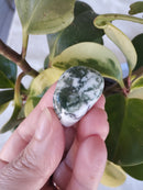 Ágata Musgo - Rolada