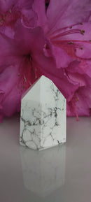 Howlita - Gerador Polido