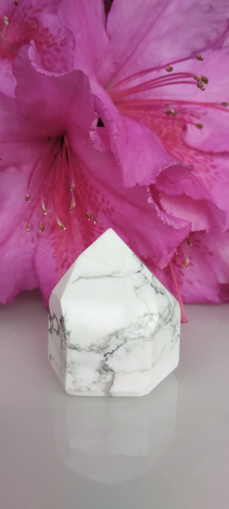 Howlita - Gerador Polido