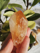 Citrino - Natural - Ponta Bruta