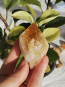 Citrino - Natural - Ponta Bruta