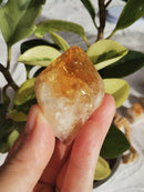 Citrino - Natural - Ponta Bruta