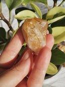 Citrino - Natural - Ponta Bruta