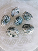 Ágata Musgo - Rolada