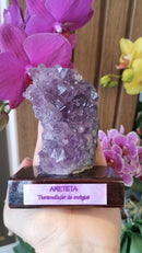 Ametista - Drusa - Base de Madeira