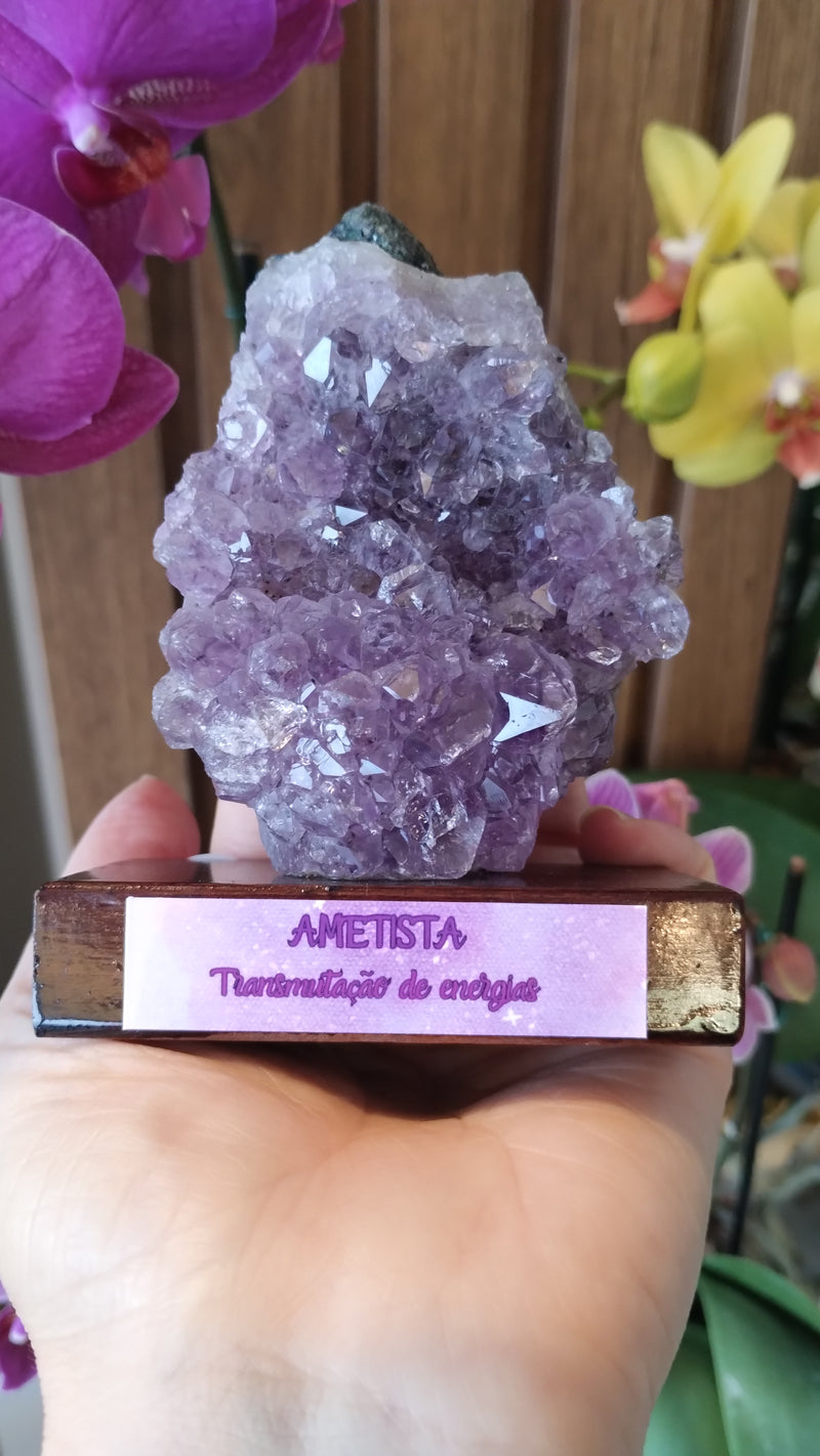 Ametista - Drusa - Base de Madeira